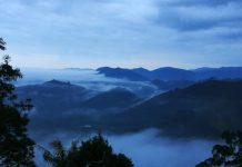 与受造界和平共处