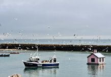 《一个人的圣殿:安顿心灵的七项修链》读后感