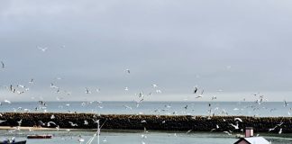 《一个人的圣殿:安顿心灵的七项修链》读后感