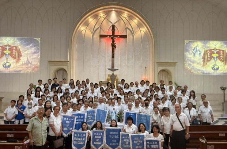 八打灵永援圣母区团检阅典礼